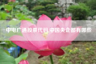 中电广通股票代码,中国央企都有哪些