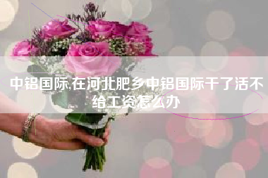 中铝国际,在河北肥乡中铝国际干了活不给工资怎么办