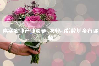 嘉实农业产业股票c,农业etf指数基金有哪些