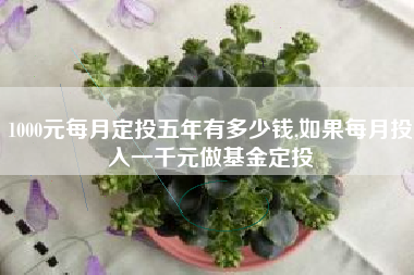1000元每月定投五年有多少钱,如果每月投入一千元做基金定投