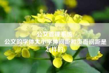 公文管理系统(
公文的字体大小字体间距和页面间距是怎样的) 公文管理系统(
公文的字体大小字体间距和页面间距是怎样的)