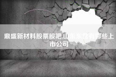 鼎盛新材料股票股吧,山东东营有哪些上市公司