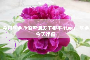 今日基金净值查询表工银平衡,001158基金今天净值