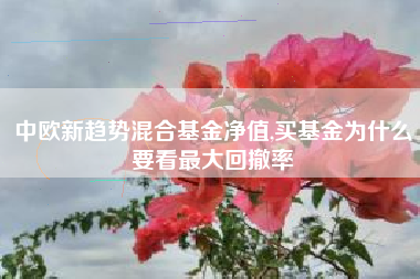 中欧新趋势混合基金净值,买基金为什么要看最大回撤率