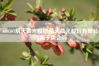 600501航天晨光股吧,航天晨光股份有限公司属于央企吗