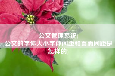 公文管理系统(
公文的字体大小字体间距和页面间距是怎样的) 公文管理系统(
公文的字体大小字体间距和页面间距是怎样的)