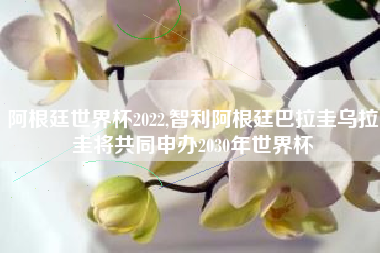 阿根廷世界杯2022,智利阿根廷巴拉圭乌拉圭将共同申办2030年世界杯