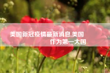 美国新冠疫情最新消息,美国🇺🇸作为第一大国