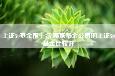 上证50基金前十名,哪家基金公司的上证50基金比较好