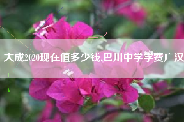 大成2020现在值多少钱,巴川中学学费广汉