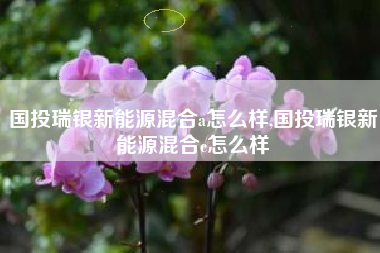 国投瑞银新能源混合a怎么样,国投瑞银新能源混合c怎么样