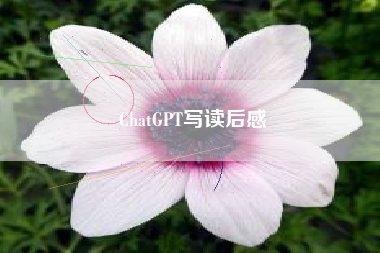 ChatGPT写读后感