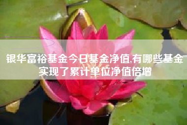 银华富裕基金今日基金净值,有哪些基金实现了累计单位净值倍增