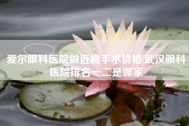 爱尔眼科医院做近视手术价格,武汉眼科医院排名一二是哪家