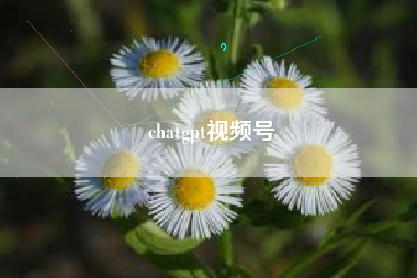 chatgpt视频号