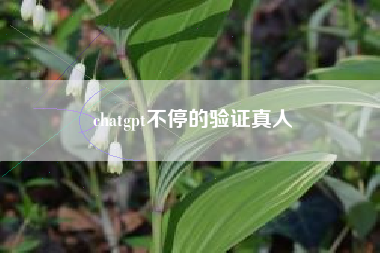 chatgpt不停的验证真人