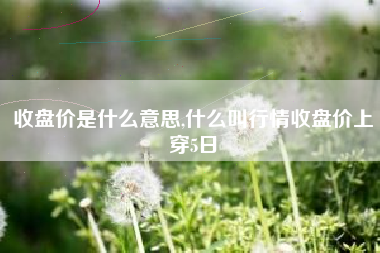 收盘价是什么意思,什么叫行情收盘价上穿5日