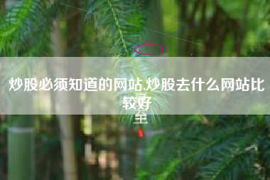 炒股必须知道的网站,炒股去什么网站比较好