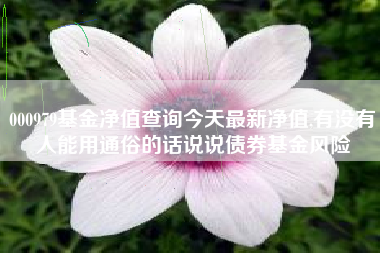 000979基金净值查询今天最新净值,有没有人能用通俗的话说说债券基金风险