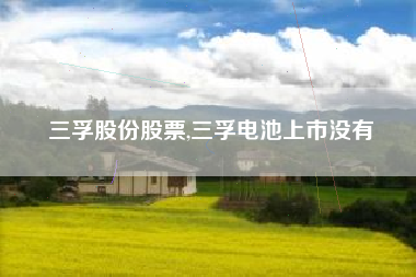 三孚股份股票,三孚电池上市没有