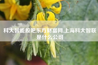 科大智能股吧东方财富网,上海科大智联是什么公司