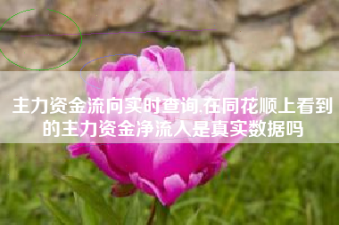 主力资金流向实时查询,在同花顺上看到的主力资金净流入是真实数据吗