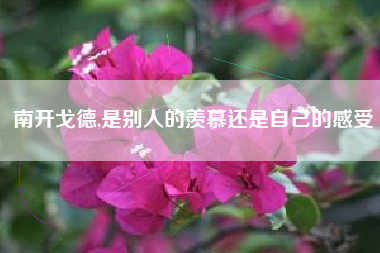 南开戈德,是别人的羡慕还是自己的感受