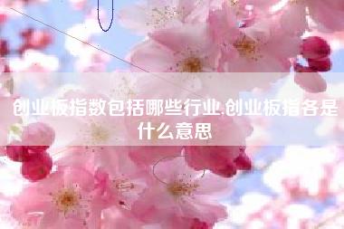 创业板指数包括哪些行业,创业板指各是什么意思