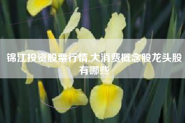 锦江投资股票行情,大消费概念股龙头股有哪些
