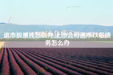 退市股票钱怎么办,上市公司退市以后债务怎么办