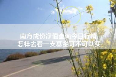 南方成份净值查询今日行情,
怎样去看一支基金可不可以买 南方成份净值查询今日行情,
怎样去看一支基金可不可以买