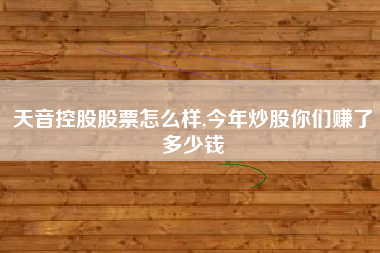 天音控股股票怎么样,今年炒股你们赚了多少钱