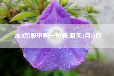 2020新股申购一览表,明天1月15日