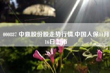 000887 中鼎股份股走势行情,中国人保11月16日上市