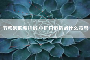 五粮液股票指数,中证白酒指数什么意思