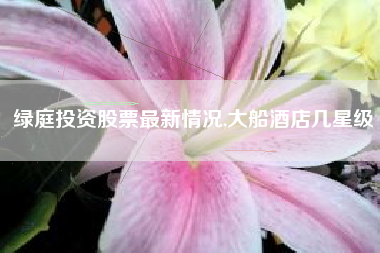 绿庭投资股票最新情况,大船酒店几星级