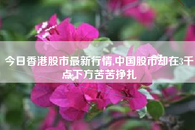 今日香港股市最新行情,中国股市却在3千点下方苦苦挣扎