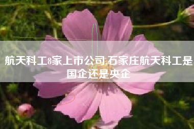 航天科工8家上市公司,石家庄航天科工是国企还是央企