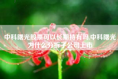 中科曙光股票可以长期持有吗,中科曙光为什么分拆子公司上市