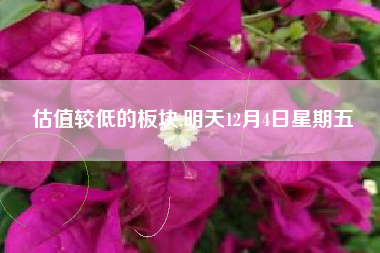 估值较低的板块,明天12月4日星期五