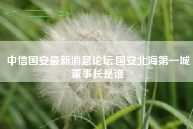 中信国安最新消息论坛,国安北海第一城董事长是谁