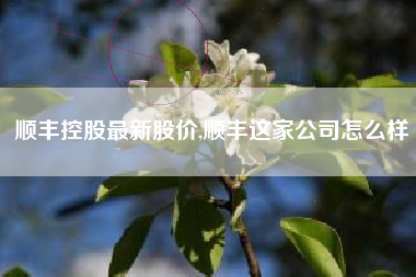 顺丰控股最新股价,顺丰这家公司怎么样
