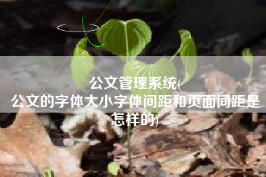 公文管理系统(
公文的字体大小字体间距和页面间距是怎样的) 公文管理系统(
公文的字体大小字体间距和页面间距是怎样的)