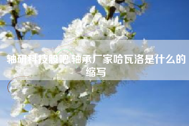 详细阅读:轴研科技股吧,轴承厂家哈瓦洛是什么的缩写 轴研科技股吧,轴承厂家哈瓦洛是什么的缩写