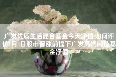 广发优质生活混合基金今天净值,如何评价1月4日股市普涨前提下广发高端制造基金净值