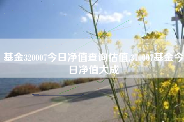 基金320007今日净值查询估值,370007基金今日净值大成