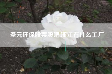 圣元环保股票股吧,浙江有什么工厂