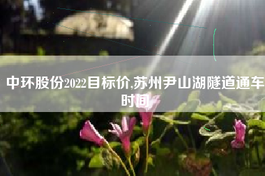 中环股份2022目标价,苏州尹山湖隧道通车时间