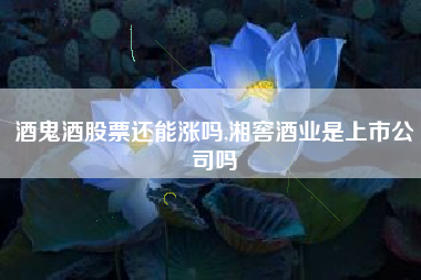 酒鬼酒股票还能涨吗,湘窖酒业是上市公司吗