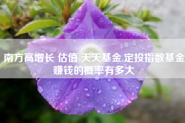 南方高增长 估值 天天基金,定投指数基金赚钱的概率有多大